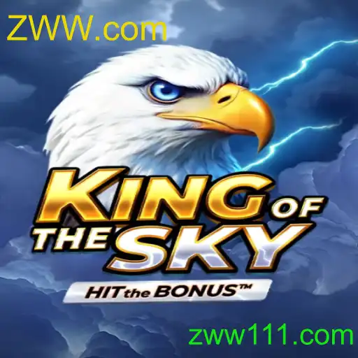KingOfTheSky